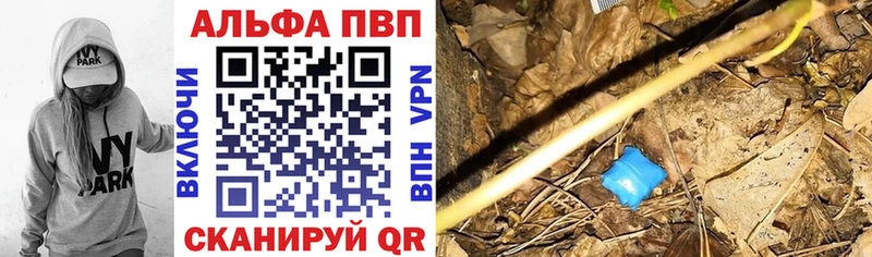 A-PVP СК КРИС  Ковров 