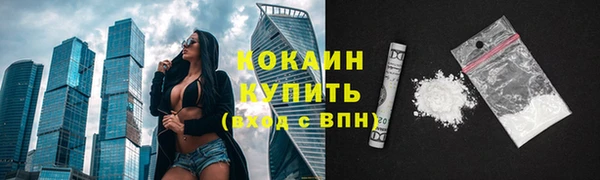 винт Абаза