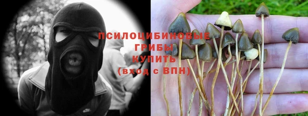 прущие крисы Абдулино