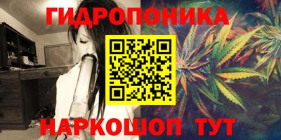 индика Бузулук