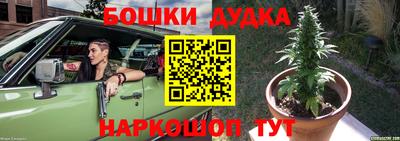 тгк Будённовск