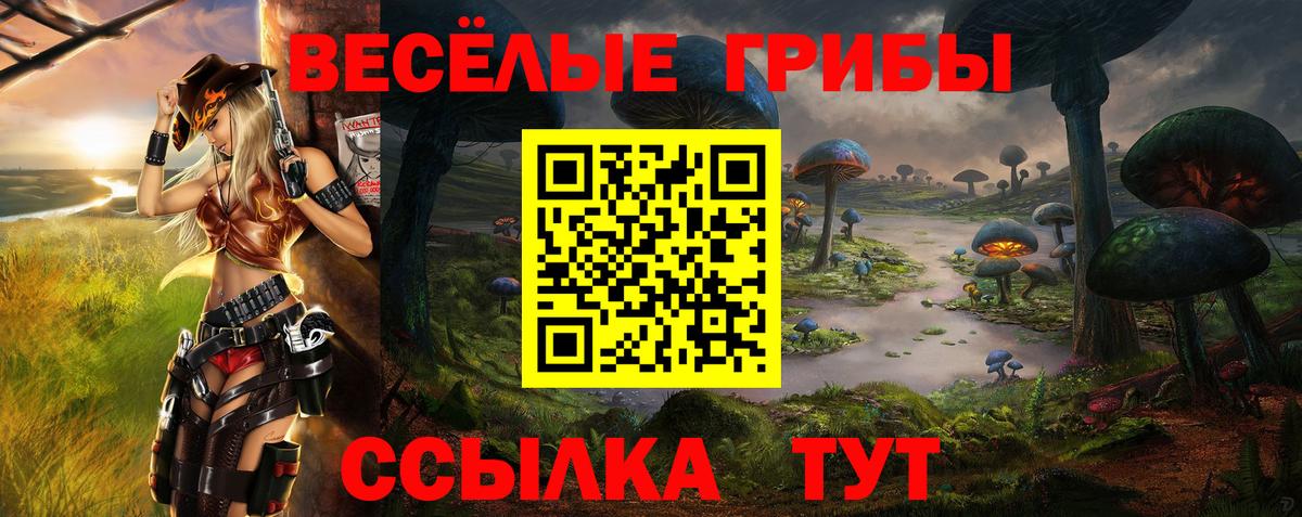 Галлюциногенные грибы мицелий  Вход с VPN  Ковров 
